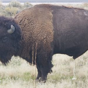 Meet your Posher, Dee